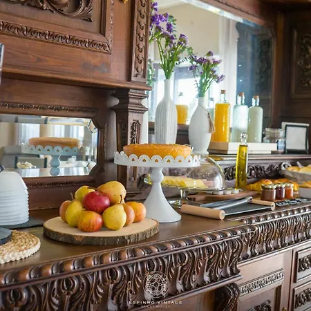 Espinho Vintage - De Charme Guest house 3*